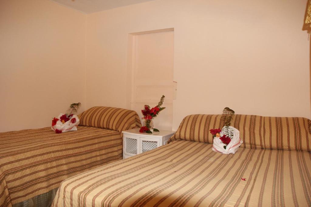 Executive Shaw Park Guest House Ocho Rios Room photo