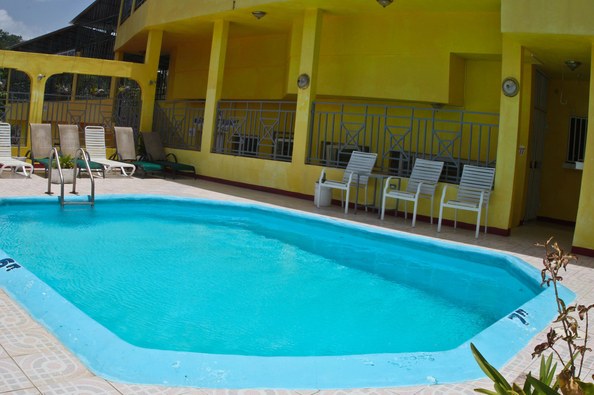 Executive Shaw Park Guest House Ocho Rios Exterior photo